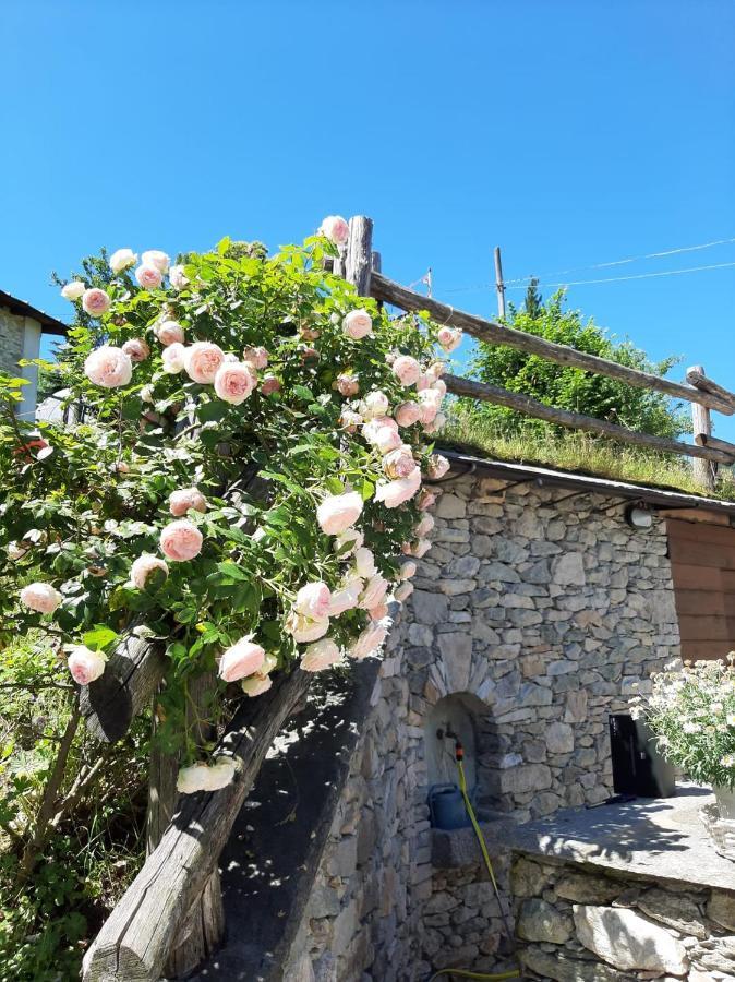 Affittacamere La Lea Roccaforte Mondovì Εξωτερικό φωτογραφία
